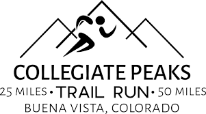 Race Logo